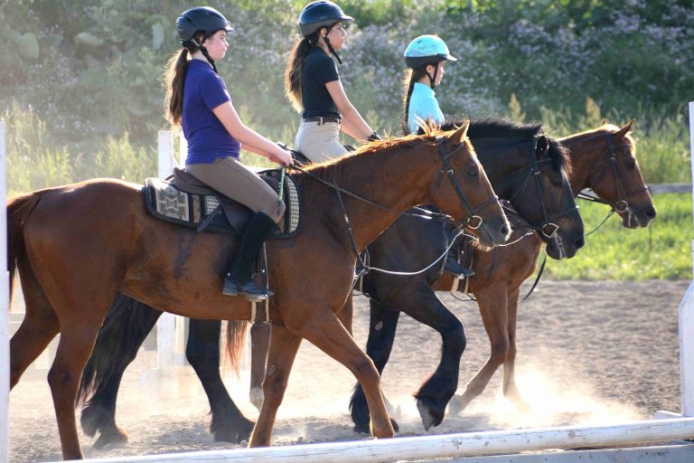 MEADOWLARKE STABLES Horseback Riding Lessons Meadowlarke Stables Offer Horseback Riding 